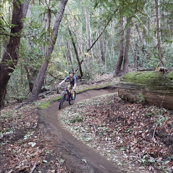 Meet your Posher, Grace - Picture 3 of 3